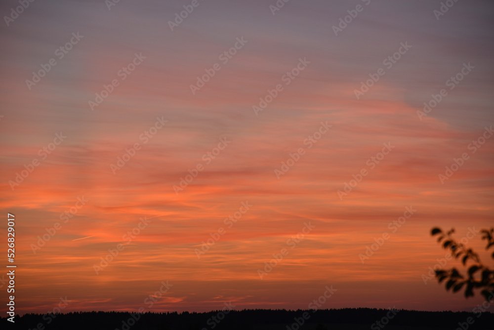 A colorful blue-pink sunset on a summer evening. Beautiful horizon with summer sunset sun. Beautiful sunset colors and colorful clouds.