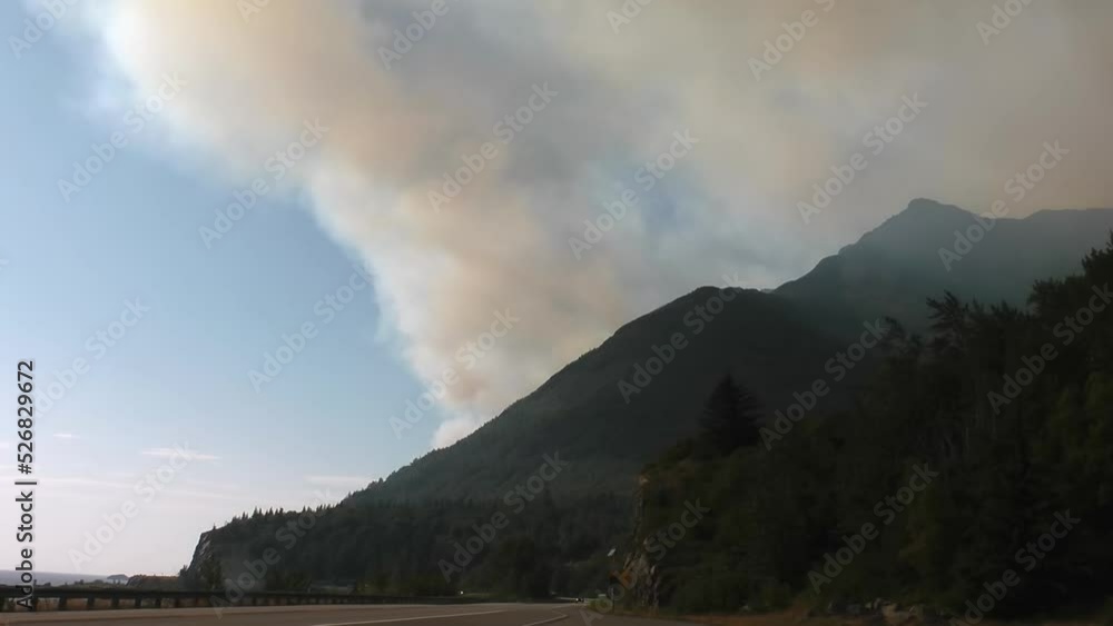 Massive forest fire in north America
Global warming concept, 2021
Massive forest fire in north America
Global warming concept, 2021