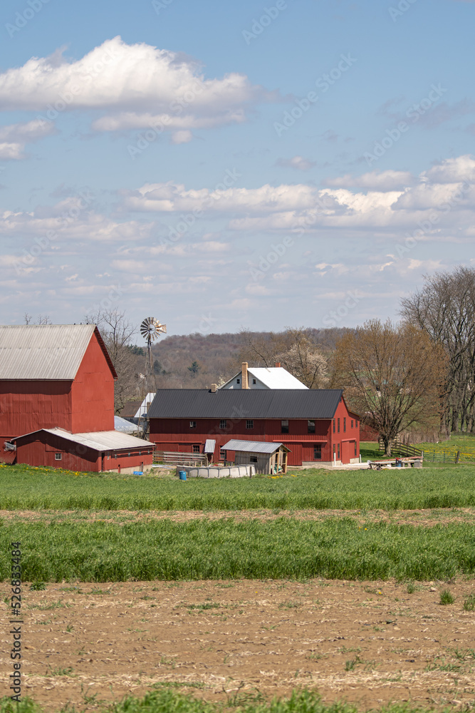 Red barns and a windmill on an Amish farm in the country in rural America | Holmes County, Ohio