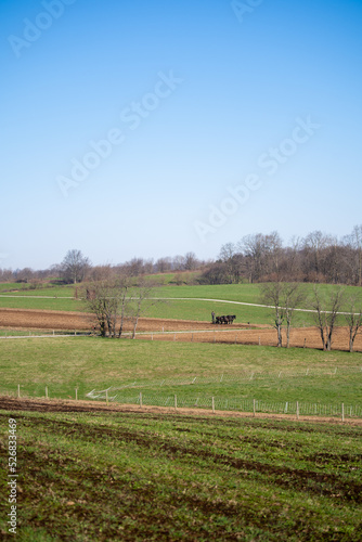 An Amish farmer in the field with his team of horses in the spring | Farm countryside of Holmes County, Ohio