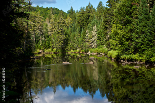 Beautiful morning view of boreal forest and pine trees reflecting in the au sable river in upstate new york.