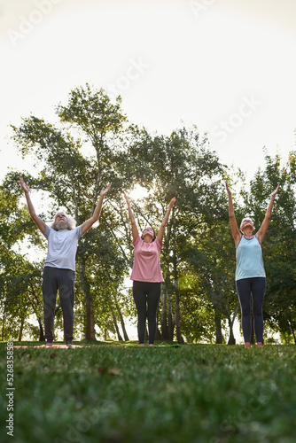 Bottom of people practice yoga in upward hand pose