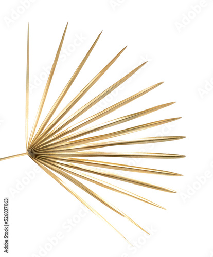 Golden palm leaf. Isolated plant. 