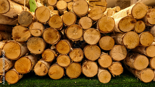 Chopped stacked firewood on a shelf