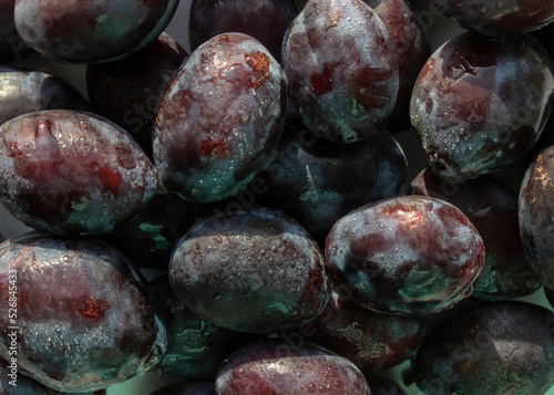 dark plums. plums in water drops