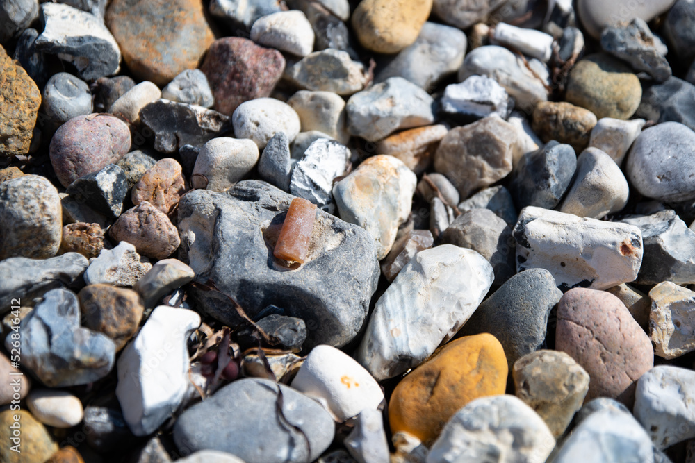 Fossil (Belemit) am Steinstrand an der Ostsee Fossil (Belemit) am Steinstrand an der Ostsee
