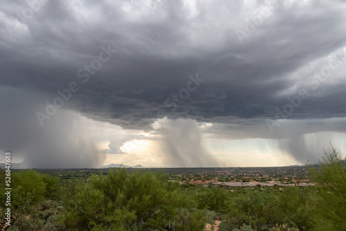 Monsoons in the Sonoran Desert with rain shafts or curtains coming down out of heavy dark gray clouds. Beautiful summer storm activity in the American Southwest. Pima County  Oro Valley  Arizona  USA.
