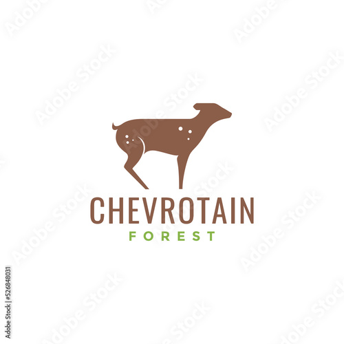 chevrotain little animal logo design photo