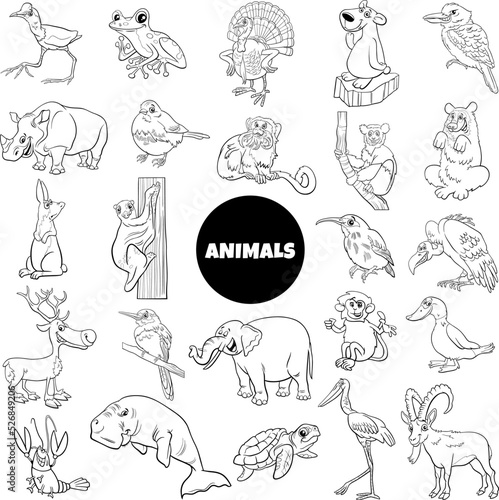 black and white cartoon wild animal species characters set