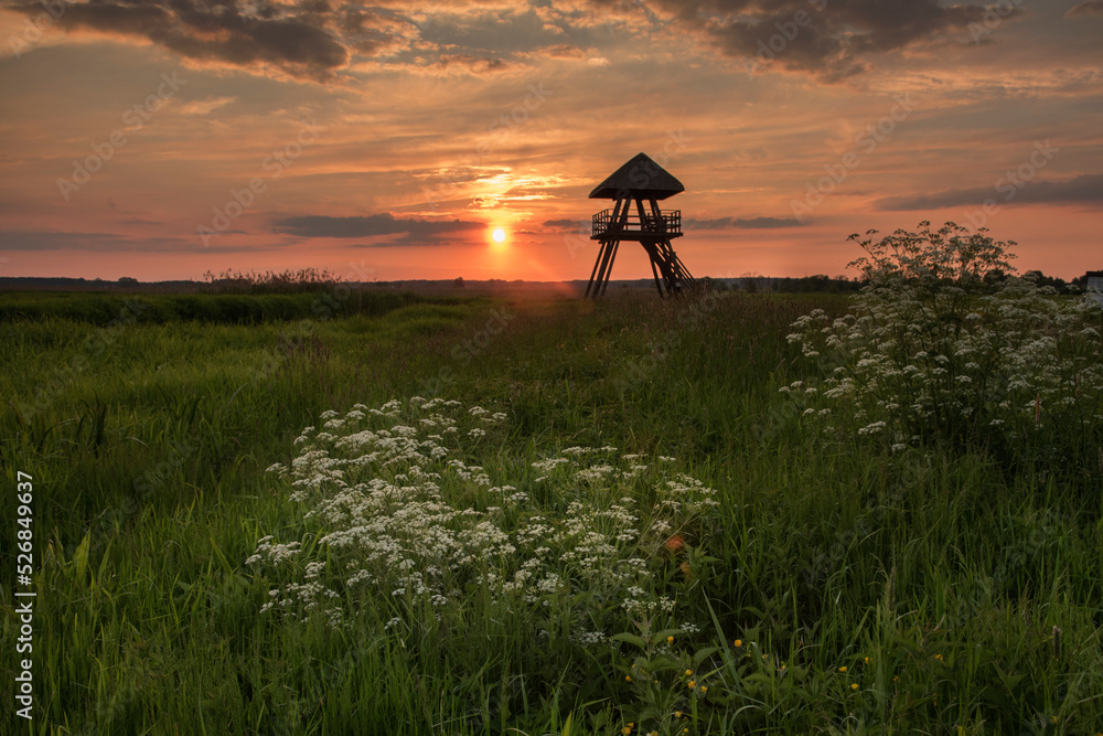 Obraz premium zachód słońca nad Narwią w Polsce