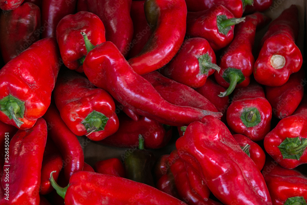 Red hot ripe peppers. Pepper background or texture. Close-up. Collection and sale of peppers...