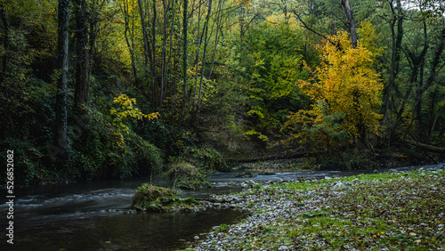 Fototapeta Naklejka Na Ścianę i Meble -  Gradac river in western Serbia in early autumn