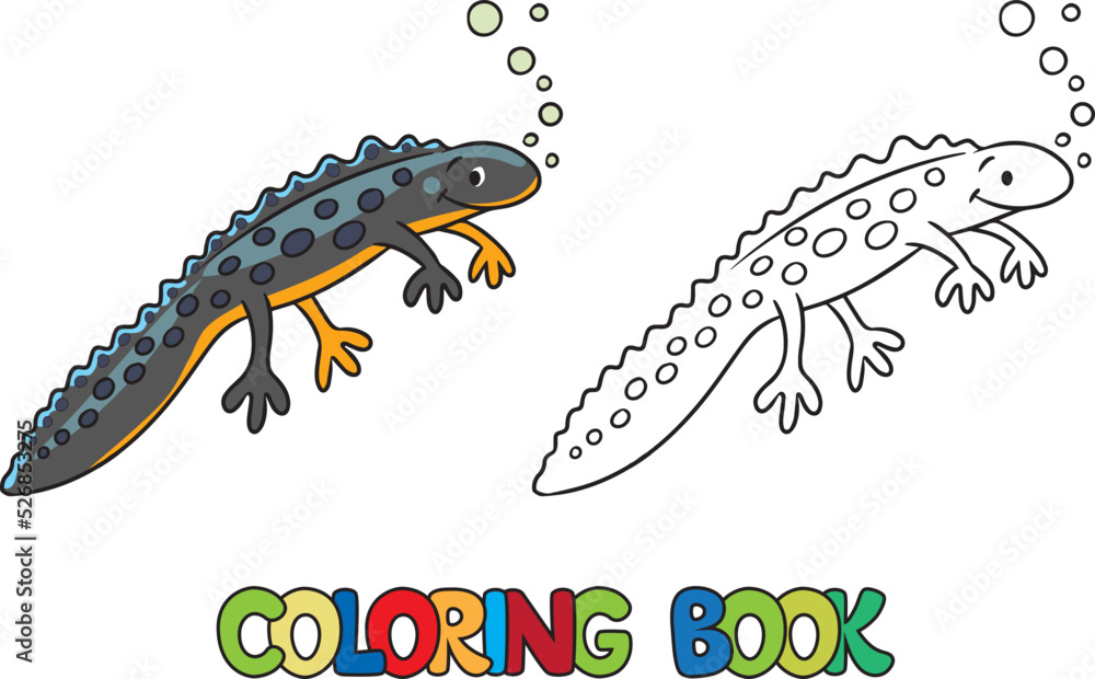 Funny sweeming newt. Kids coloring book. Vector