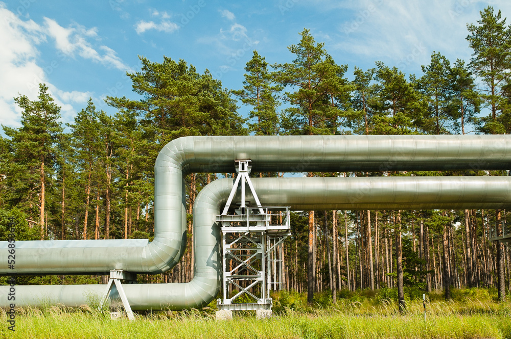 pipeline, in the photo the pipeline against the background of the blue sky and forest pipeline, in the photo the pipeline against the background of the blue sky and forest