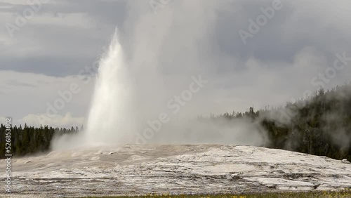 Active geyser with major eruptions, Yellowstone
Yellowstone National Park, Wyoming, USA, 2022
