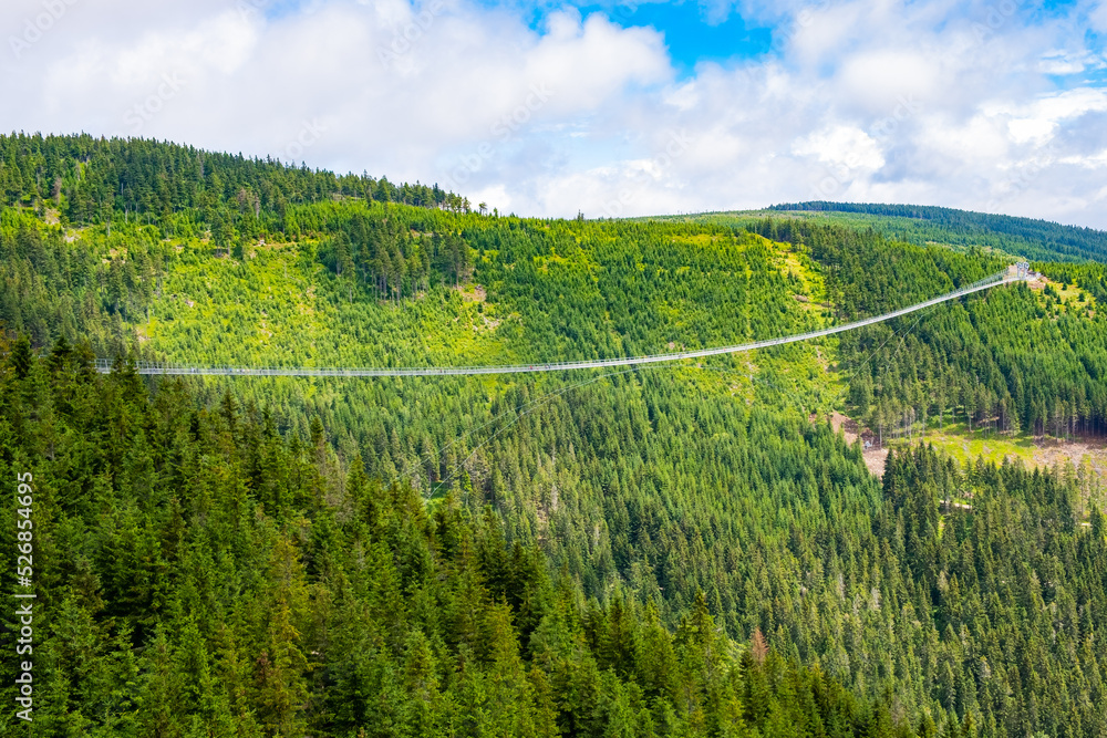 Fototapeta premium Sky Bridge 721 is the longest suspension bridge between two hills in the forest, Dolni Morava, Czech Republic . One way footbridge in touristic place in the forest in summer. 