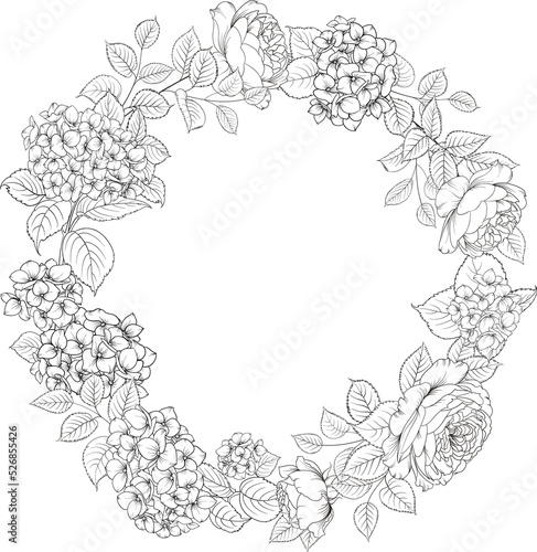 PNG floral frame. Hydrangeas flowers