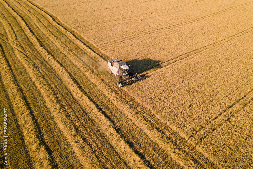 Combine harvester agriculture machine harvesting wheat field Combine harvester agriculture machine harvesting wheat field