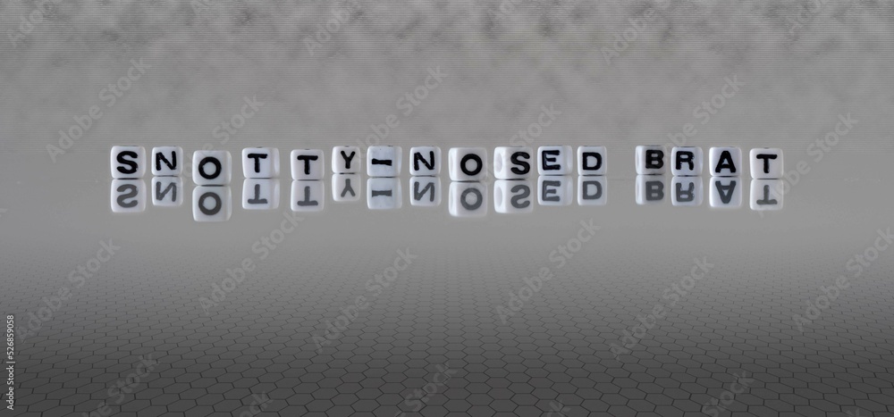 snotty nosed brat word or concept represented by black and white letter cubes on a grey horizon background stretching to infinity - obrazy, fototapety, plakaty 