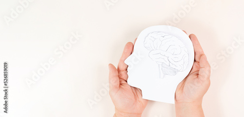 Holding a head with a brain in the hands, Parkinson disease, Alzheimer awardness, mental disorder dementia, psychology problems, cerebral vein thrombosis photo