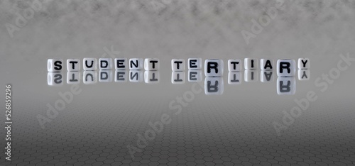 student tertiary word or concept represented by black and white letter cubes on a grey horizon background stretching to infinity