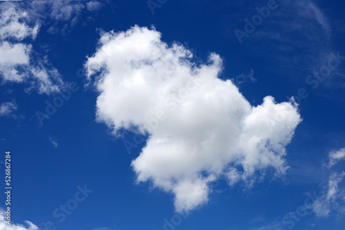 Blue sky background with cloud in the shape of a fish. Copy space