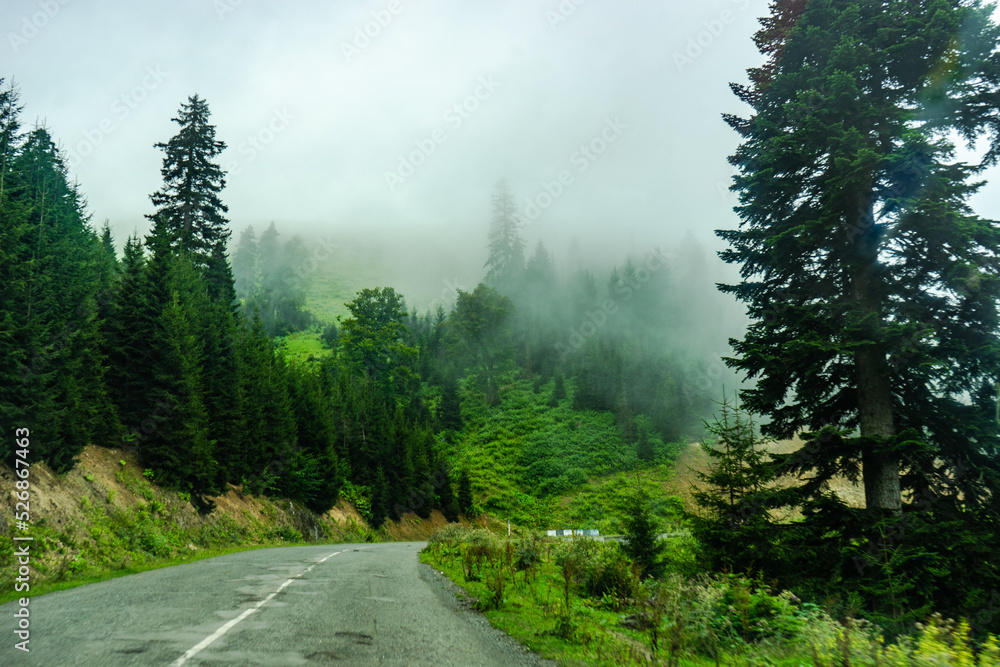 Fototapeta premium Caucasus mountain in georgian region Guria
