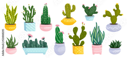 Set of colorful flowering cacti and succulents in flower pots. Cartoon vector graphics.