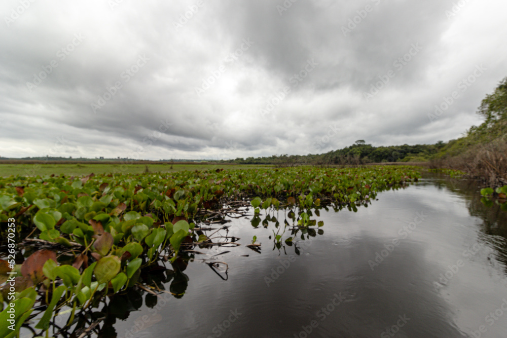 Fototapeta premium natural landscape in the city of Andarai, State of Bahia, Brazil