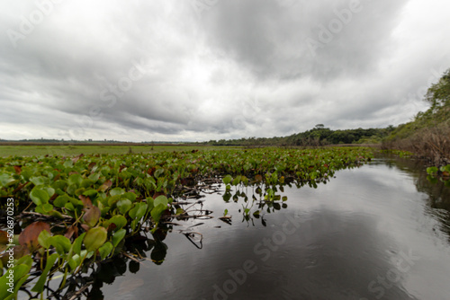 natural landscape in the city of Andarai, State of Bahia, Brazil photo