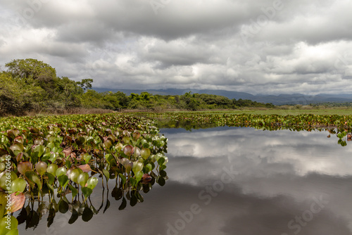 natural landscape in the city of Andarai, State of Bahia, Brazil photo