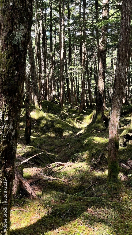 Obraz premium nagano