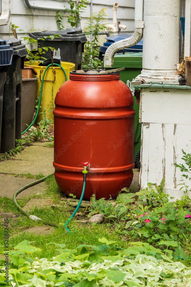 Green gardening: A rain collection barrel in a Toronto garden sits connected to a watering hose. Shot in the Toronto's Beaches neighbourhood in August. Green gardening: A rain collection barrel in a Toronto garden sits connected to a watering hose. Shot in the Toronto's Beaches neighbourhood in August.