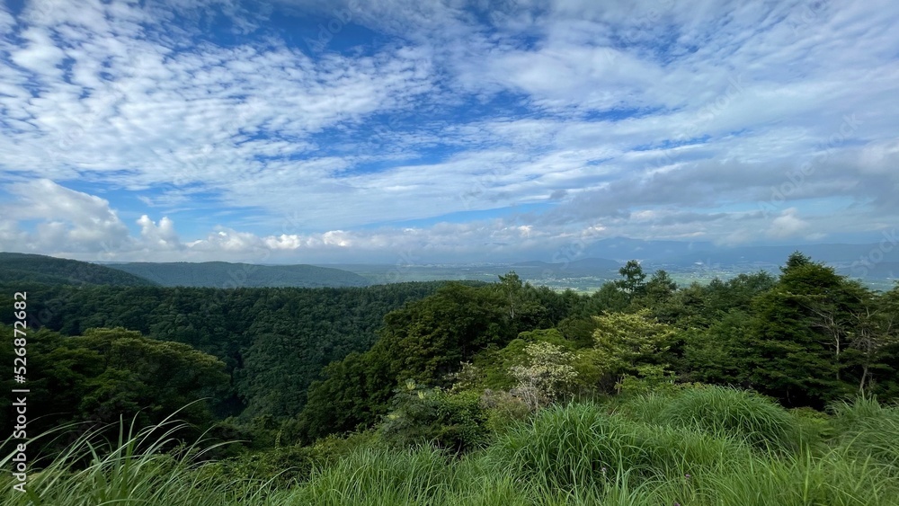 Obraz premium Nagano