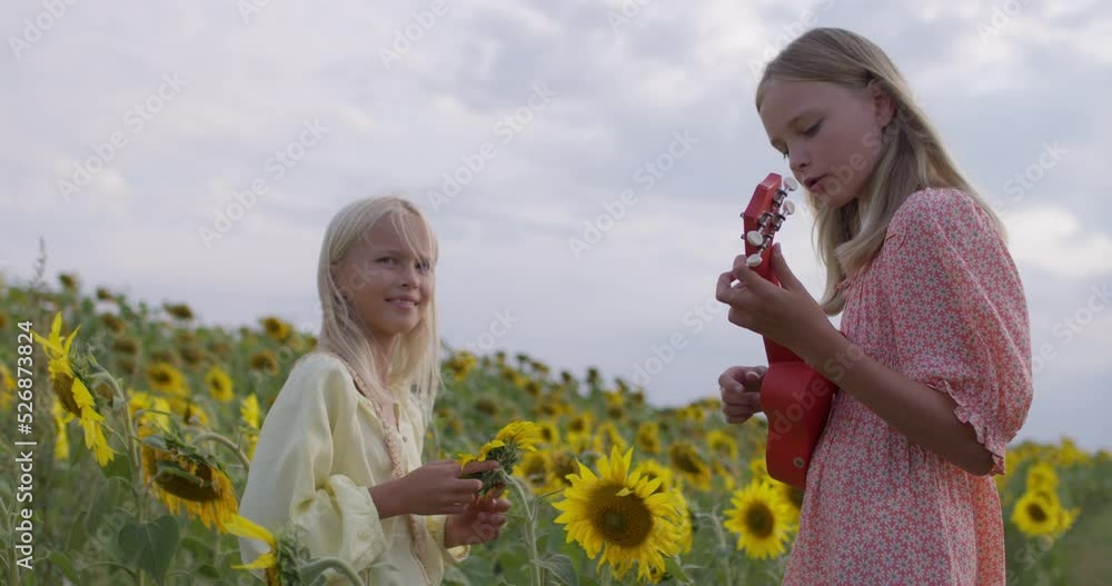 The child plays the ukulele. Two attractive young girls enjoying nature on the field of sunflowers at sunset. Freedom concept. Happy sisters outdoors. Harvest. Childhood. Country life. The child plays the ukulele. Two attractive young girls enjoying nature on the field of sunflowers at sunset. Freedom concept. Happy sisters outdoors. Harvest. Childhood. Country life.