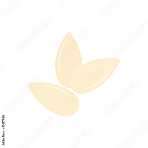 Sunflower seed icon free