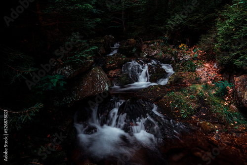 Fototapeta Naklejka Na Ścianę i Meble -  Wilczka górska rzeka w lesie. 
Sudety, masyw Śnieżnika