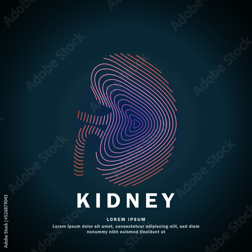 Human kidney medical structure. Vector logo kidney color silhouette on a dark background. Vector illustration - EPS 10
