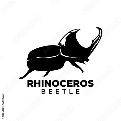 illustration of a rhinoceros beetle