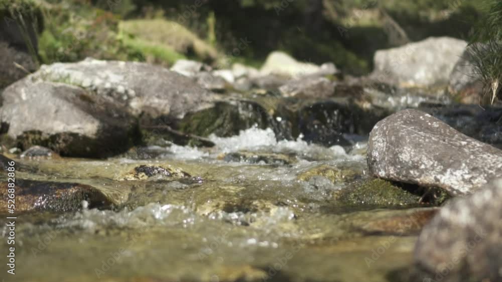 Slow Motion Of Clear Mountain River Flowing Over Rocks In Sunny Day.