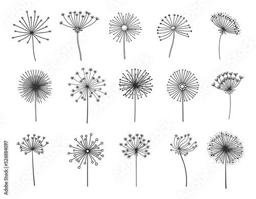 Dandelion silhouettes set, flower seeds in wind, vector flying spring blossoms. Dandelion plant floral fluffs in thin line, fluffy dandelion pattern in blow, softness, freedom or tranquility symbol photo