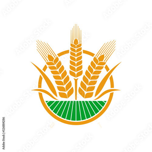 Cereal ear and spike icon of wheat, rye, barley, rice, millet. Isolated vector emblem with gold stalks on green agricultural field. Design spikelet symbol for bread or bakery farm production package