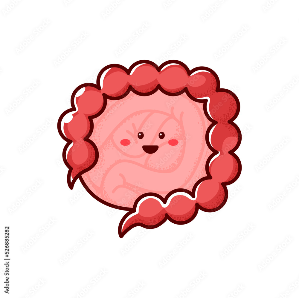 Intestine gut cartoon character isolated healthy body organ funny personage. Vector digestive truck, healthy food nutrition, intestine colon Intestine gut cartoon character isolated healthy body organ funny personage. Vector digestive truck, healthy food nutrition, intestine colon