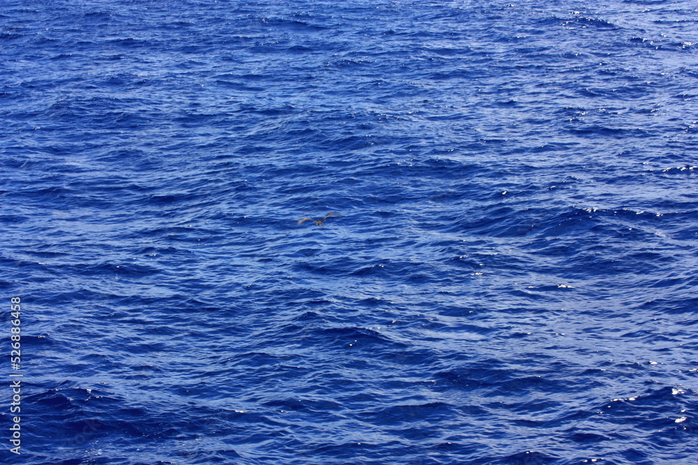 Obraz premium sea