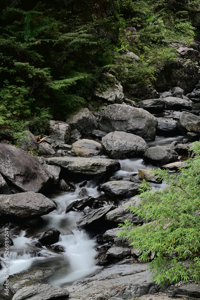 Neidong National Forest Recreation Area is located in Wulai, Taipei. It has the best conserved ecology in northern Taipei. The magnificent mountainous scenery and canyons are connected with Wulai. Neidong National Forest Recreation Area is located in Wulai, Taipei. It has the best conserved ecology in northern Taipei. The magnificent mountainous scenery and canyons are connected with Wulai.