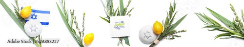 Set of Sukkot festival symb...