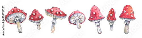 Billede på lærred Watercolor fly agaric in cartoon style on a white background