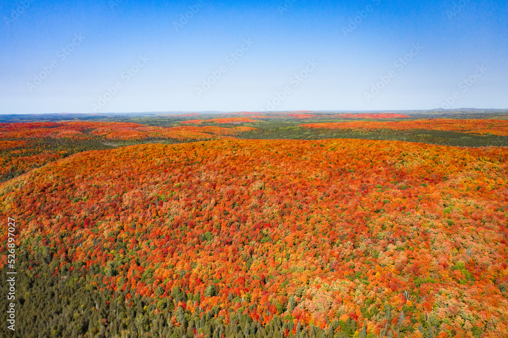 Fall Foliage