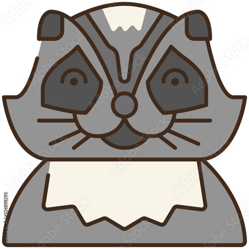 racoon