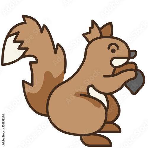squirrel